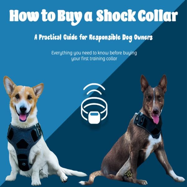 How to Buy a Shock Collar 02