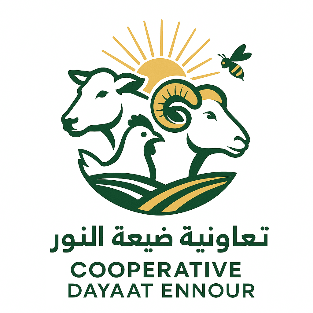 Partner Logo